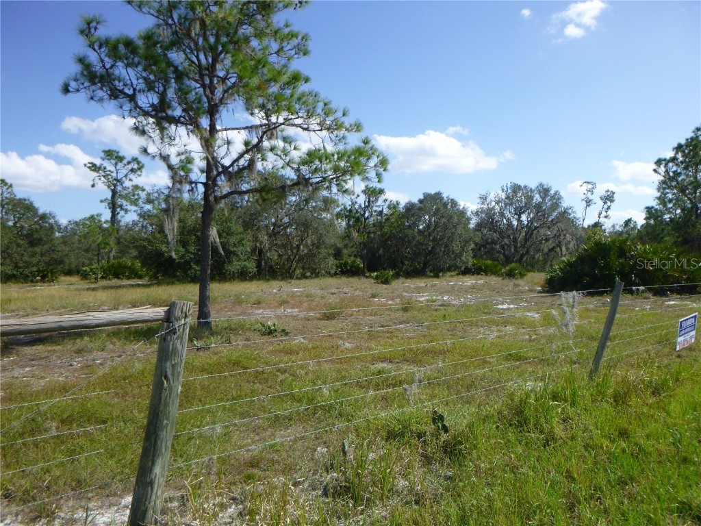 2500 Gabriel Road Fort Meade FL 33841 B4901751 image1