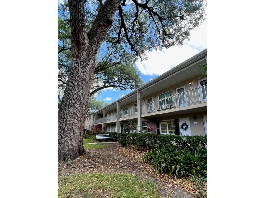 2500 Lee Road #237 Winter Park FL 32789 - LAKE KILLARNEY O6107301 image1