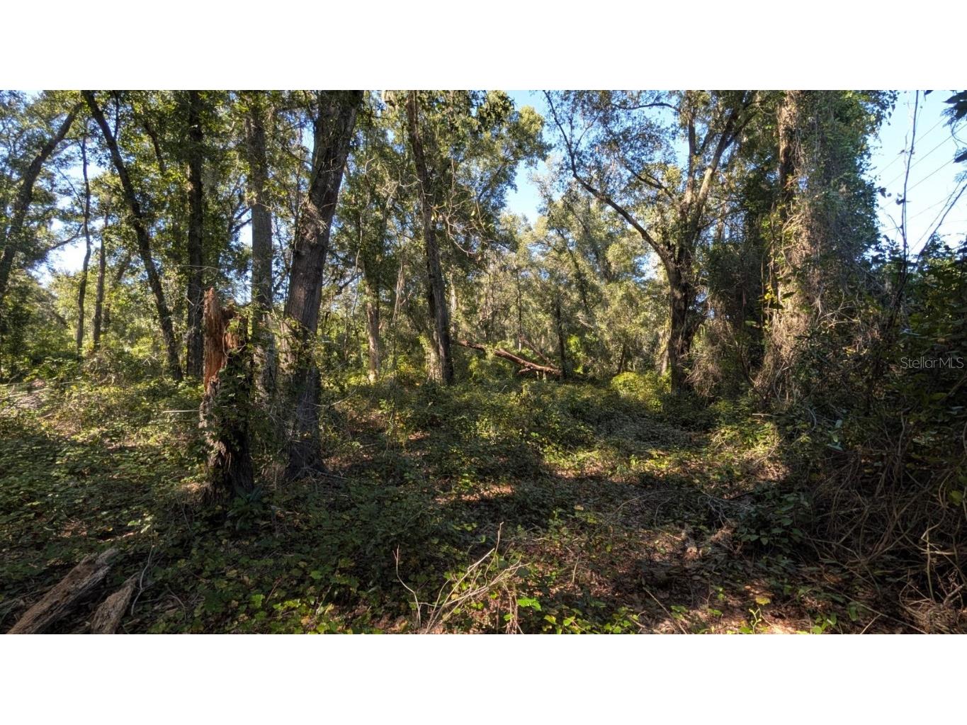 2500 Plymouth Sorrento Road Apopka FL 32712 G5103459 image6