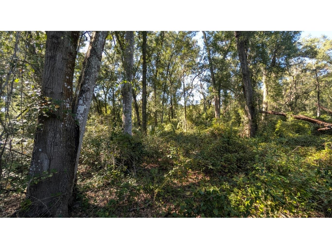 2500 Plymouth Sorrento Road Apopka FL 32712 G5103459 image7