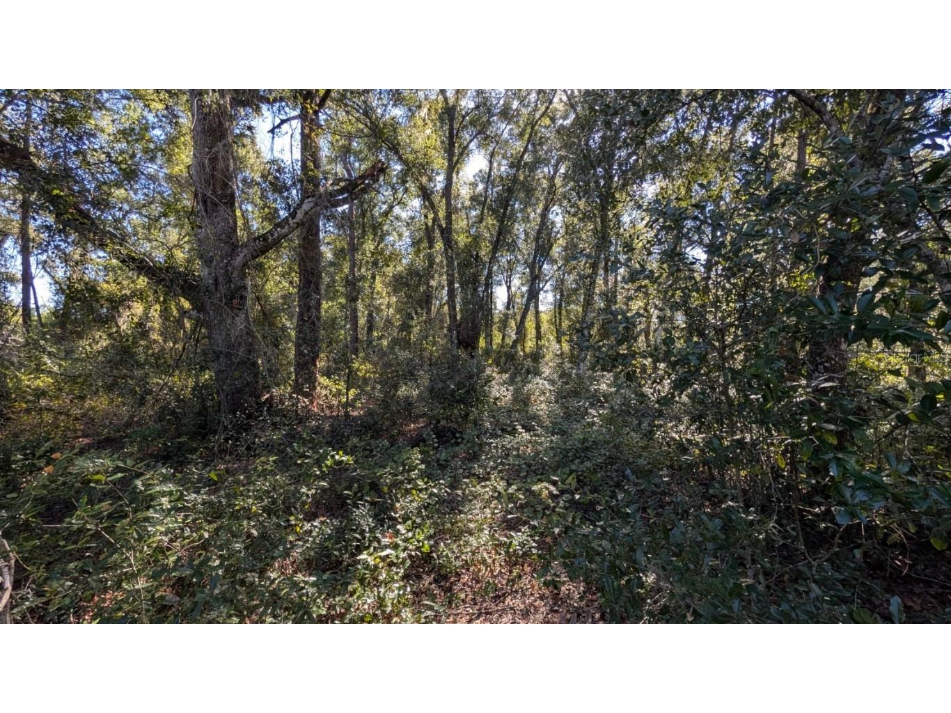 2500 Plymouth Sorrento Road Apopka FL 32712 G5103459 image8