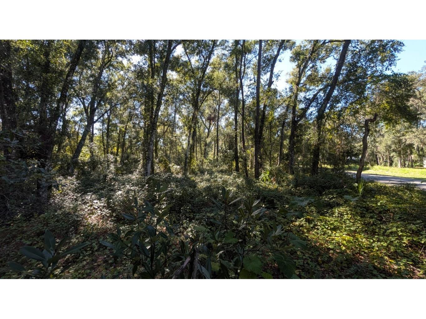 2500 Plymouth Sorrento Road Apopka FL 32712 G5103459 image9