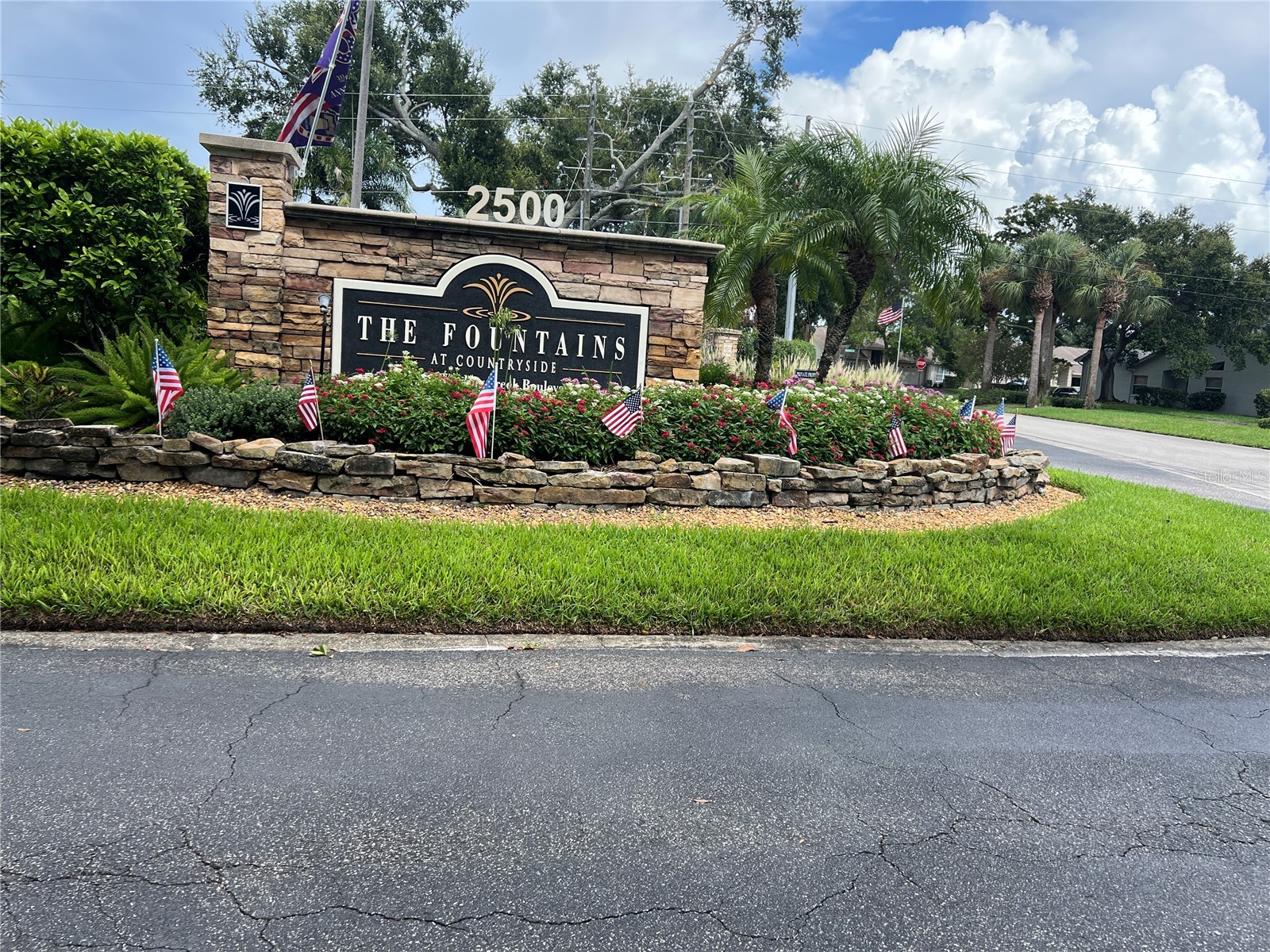 2500 Winding Creek Boulevard #E103 Clearwater FL 33761 TB8526698 image1