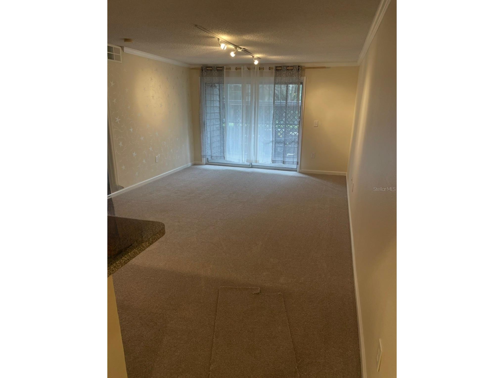 2500 Winding Creek Boulevard #E103 Clearwater FL 33761 TB8526698 image8
