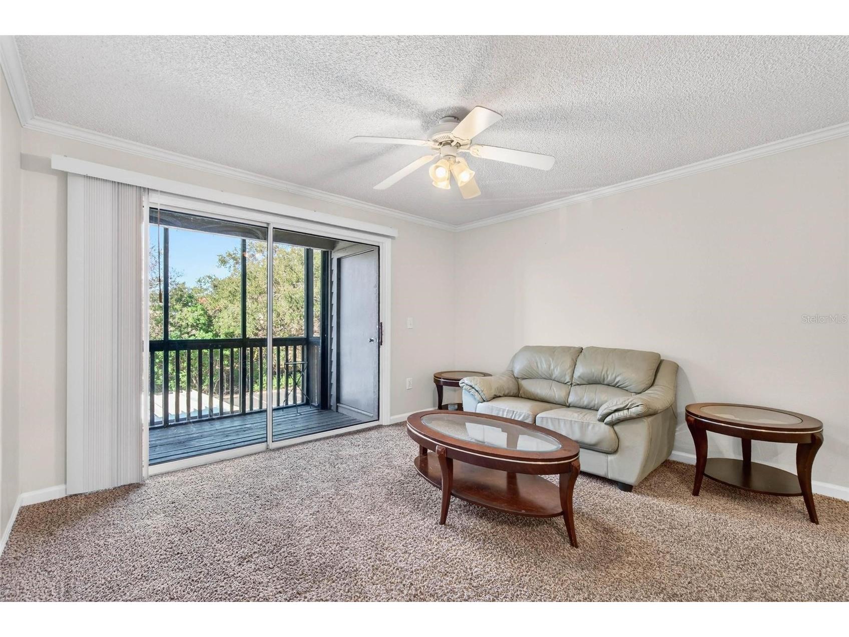 2500 Winding Creek Boulevard #E203 Clearwater FL 33761 TB8471249 image11