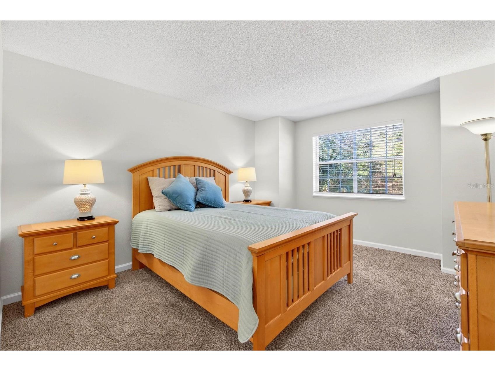 2500 Winding Creek Boulevard #E203 Clearwater FL 33761 TB8471249 image13
