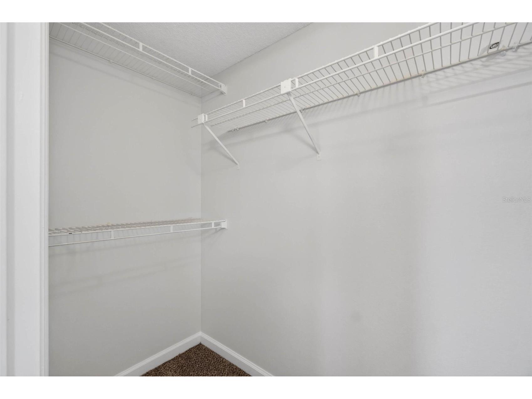 2500 Winding Creek Boulevard #E203 Clearwater FL 33761 TB8471249 image17