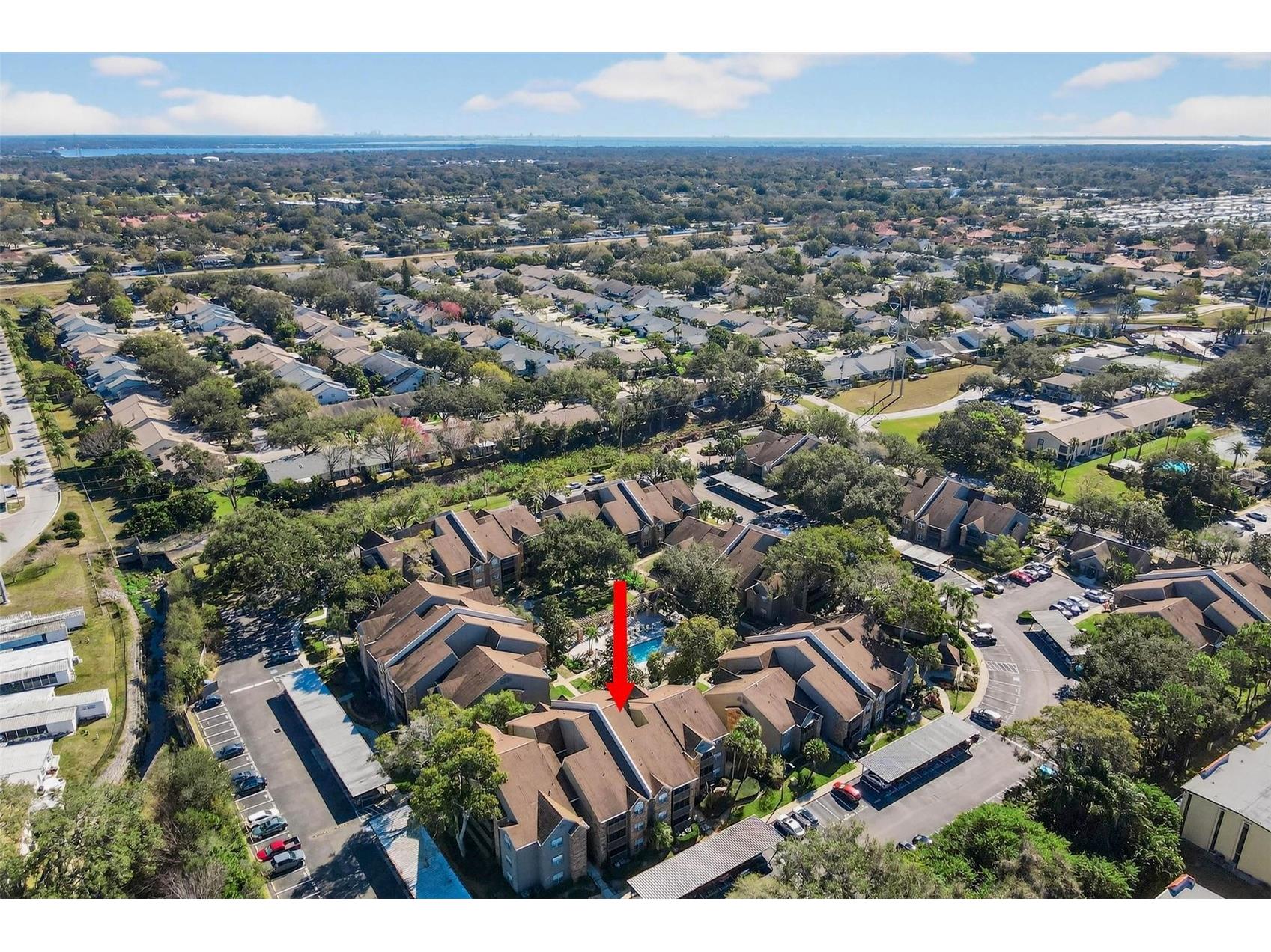 2500 Winding Creek Boulevard #E203 Clearwater FL 33761 TB8471249 image3
