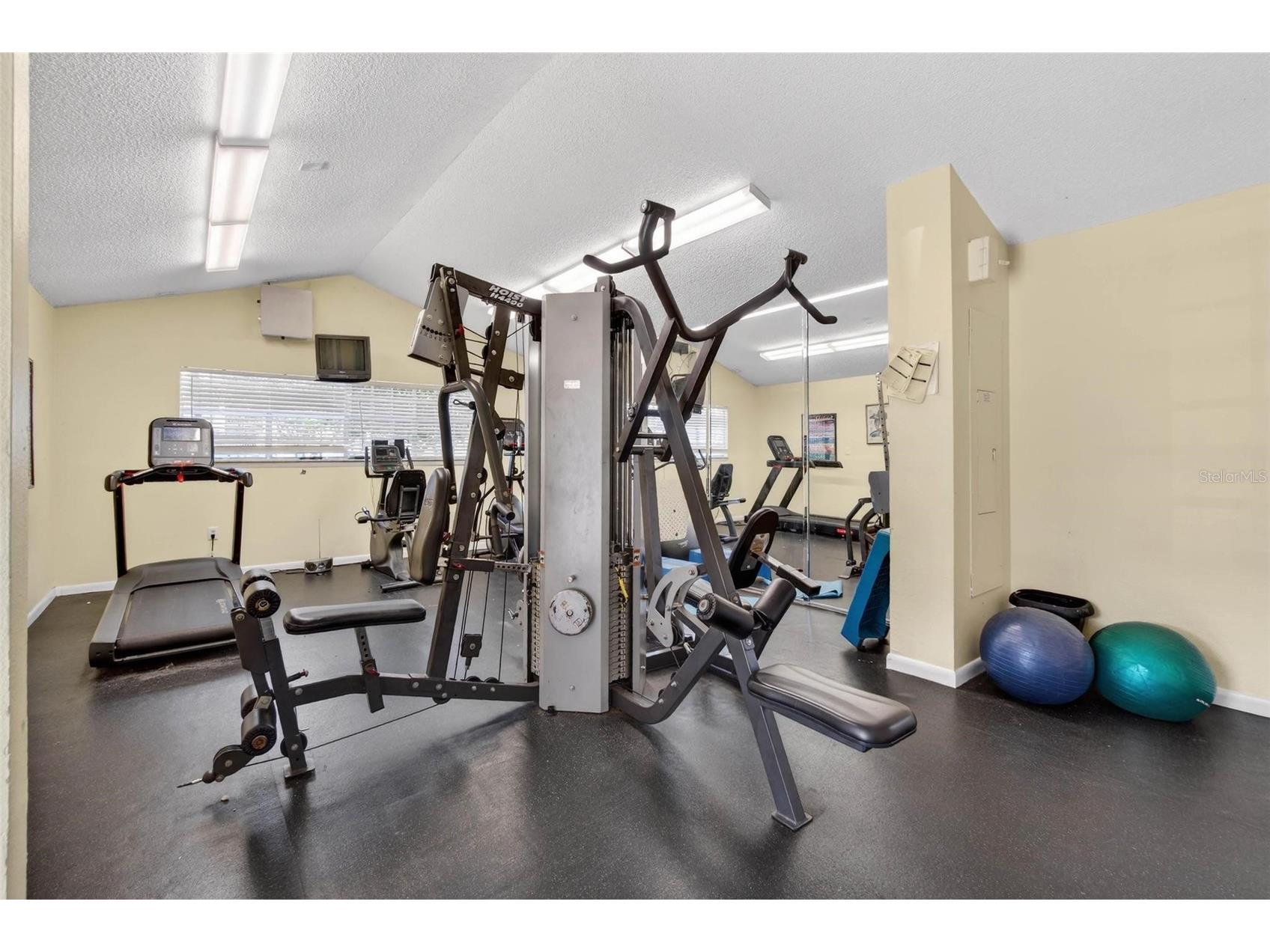 2500 Winding Creek Boulevard #E203 Clearwater FL 33761 TB8471249 image30
