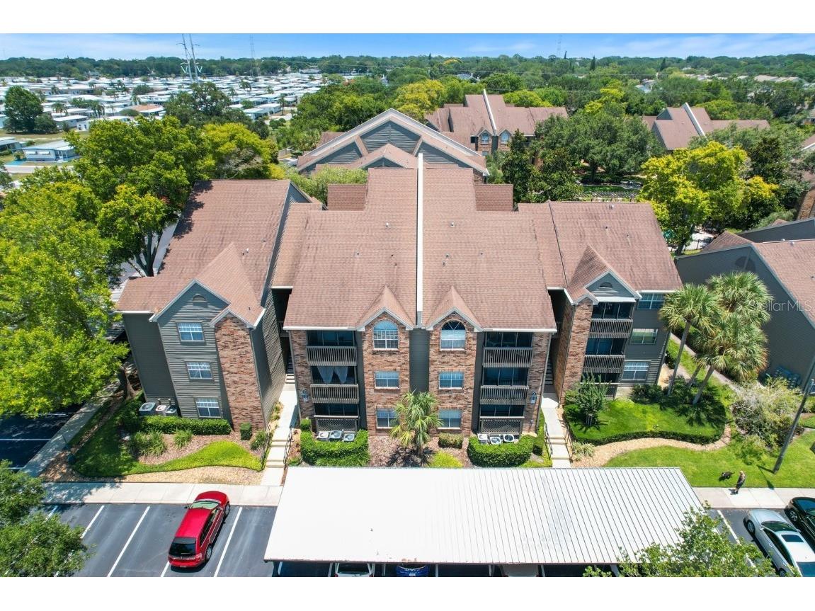 2500 Winding Creek Boulevard #E204 Clearwater FL 33761 U8203205 image1