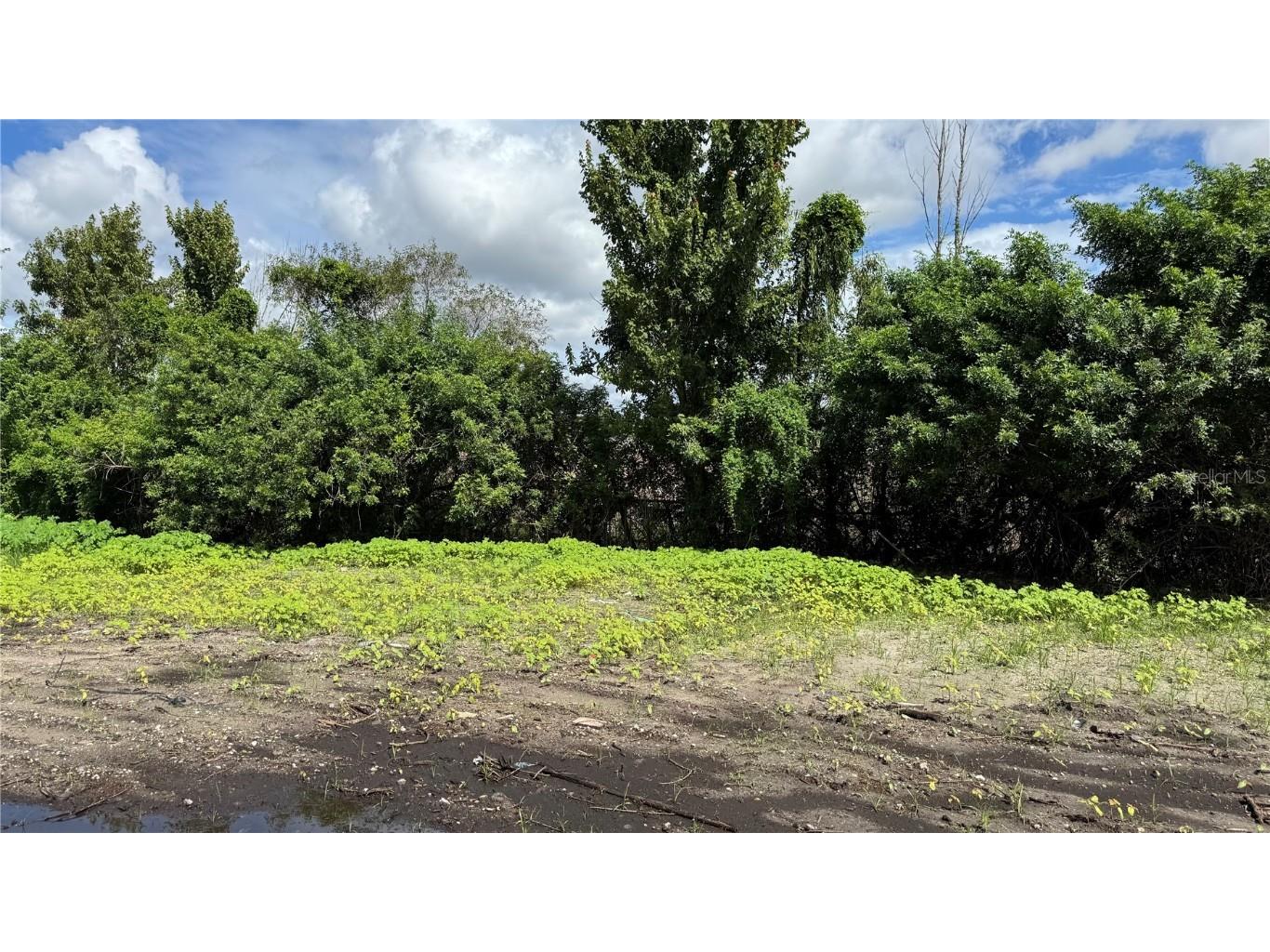 2500 Wrights Road Oviedo FL 32765 S5133380 image20