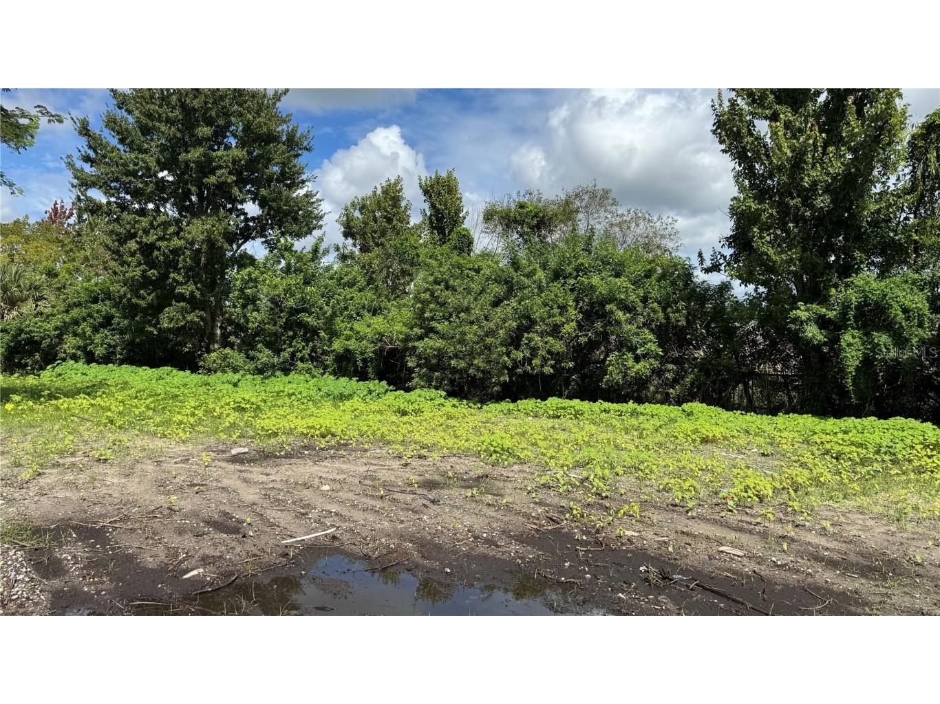 2500 Wrights Road Oviedo FL 32765 S5133380 image21