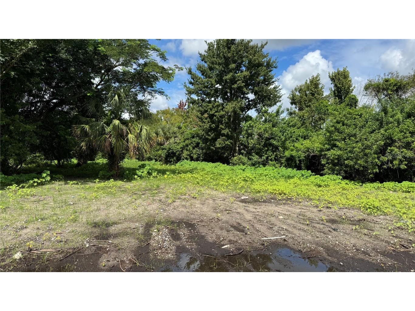 2500 Wrights Road Oviedo FL 32765 S5133380 image22