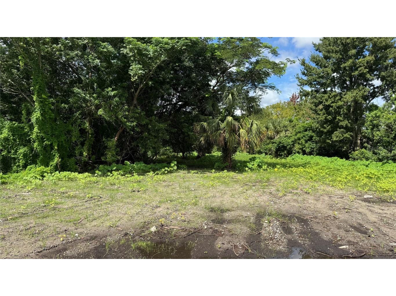 2500 Wrights Road Oviedo FL 32765 S5133380 image23