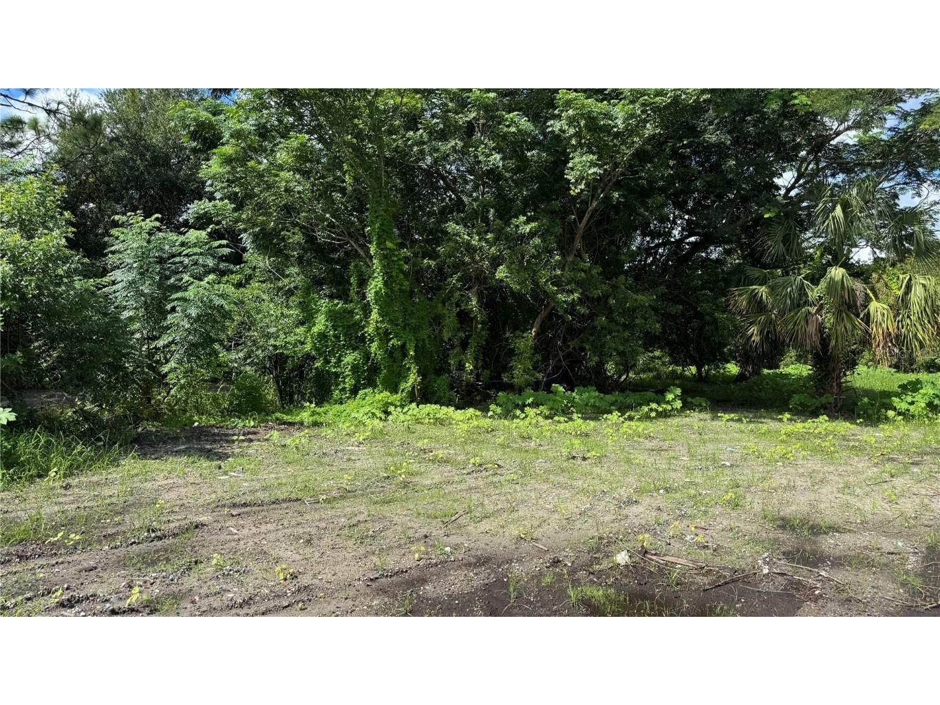 2500 Wrights Road Oviedo FL 32765 S5133380 image24