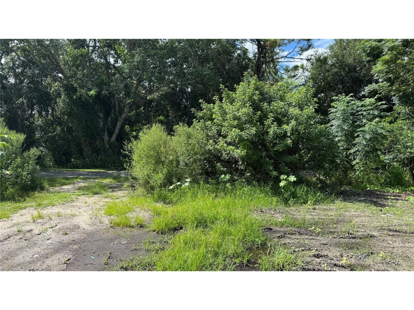 2500 Wrights Road Oviedo FL 32765 S5133380 image26