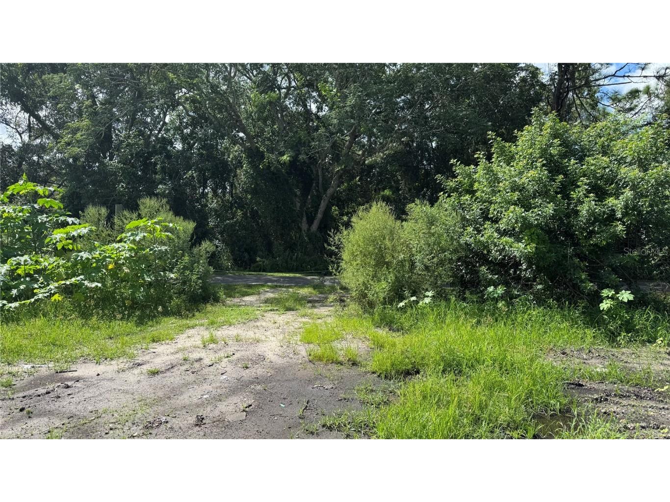 2500 Wrights Road Oviedo FL 32765 S5133380 image27
