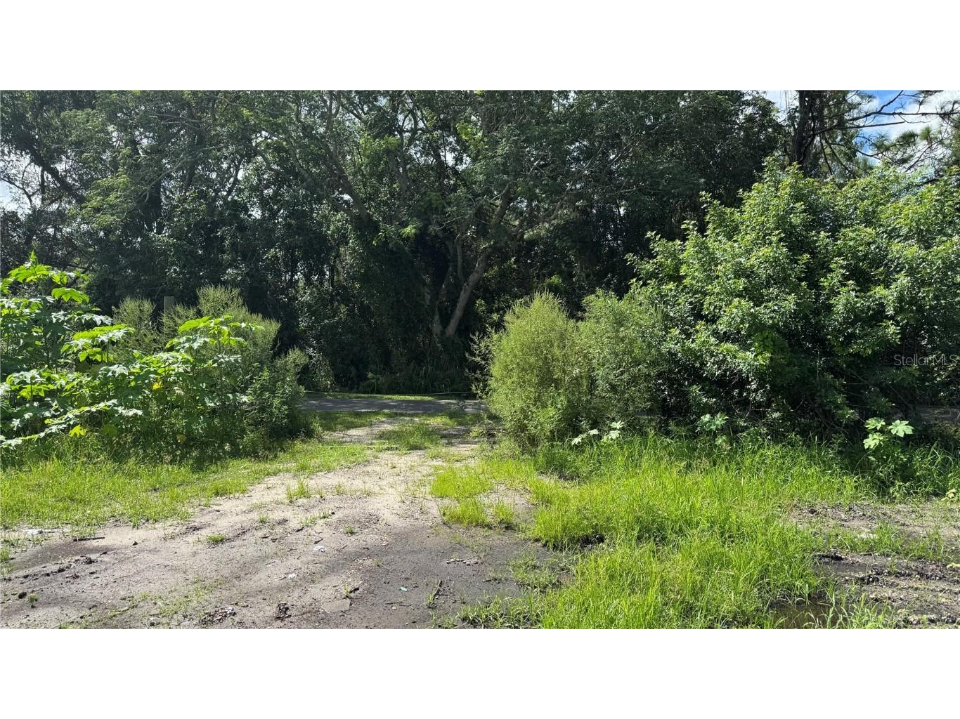 2500 Wrights Road Oviedo FL 32765 S5133380 image28