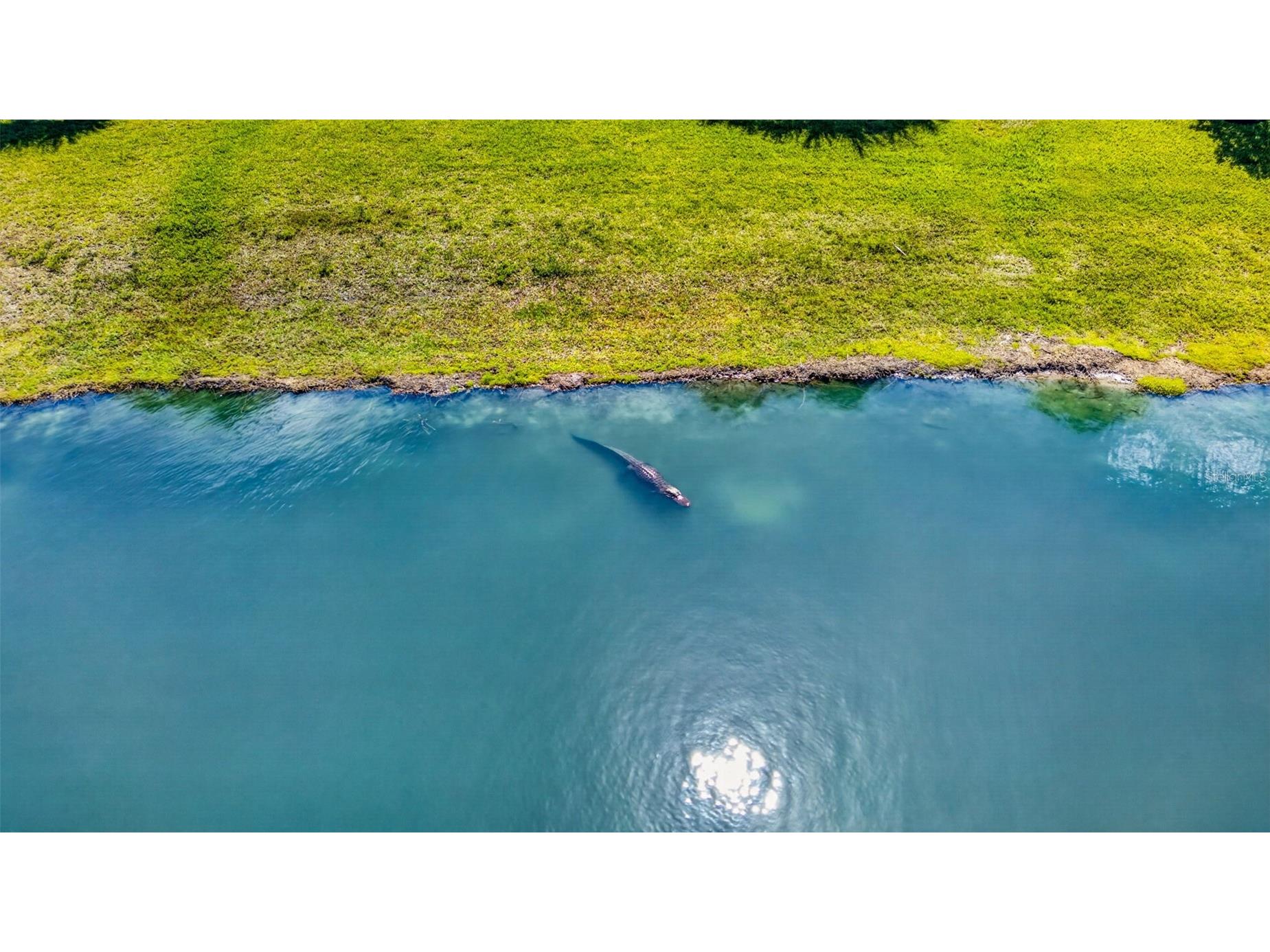 25000 Halliana Lane Punta Gorda FL 33955 C7527392 image43
