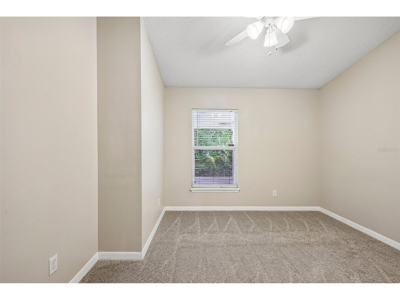 25002 Hyde Park Boulevard Land O Lakes FL 34639 TB8505013 image25
