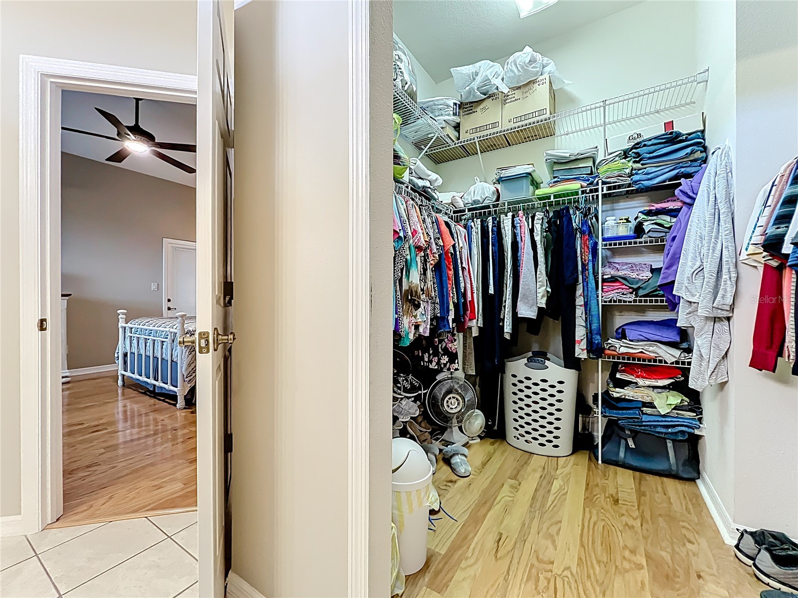 25003 Cypress Pond Court Leesburg FL 34748 G5107722 image30