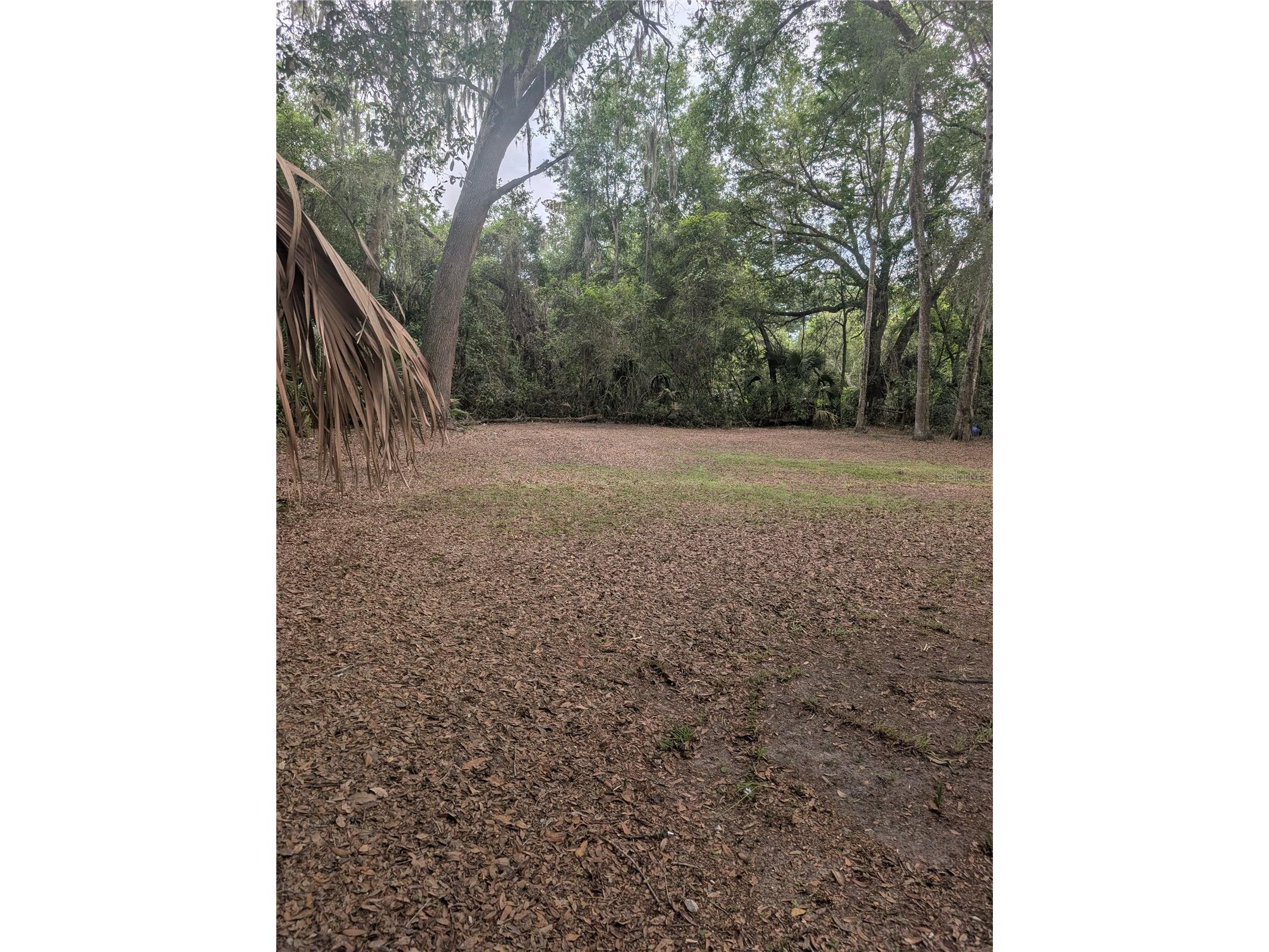 25007 NW 6th Avenue Newberry FL 32669 GC540527 image23