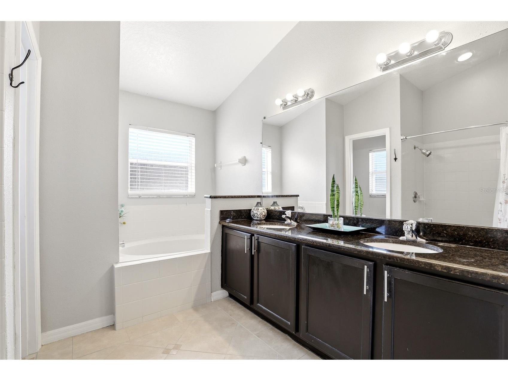 2501 Balmoral Dr Kissimmee FL 34744 S5146190 image29