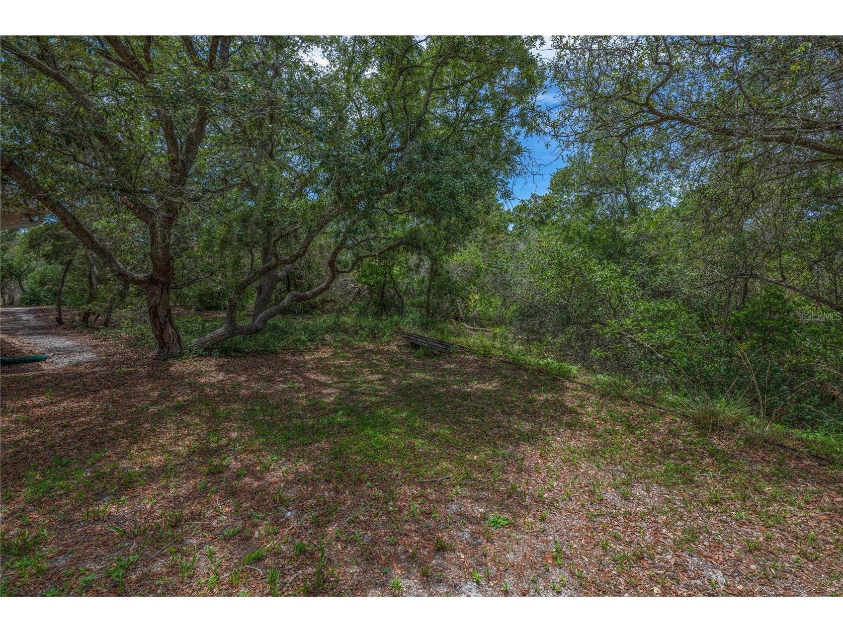 2501 Barry Drive Deltona FL 32725 O6415526 image36