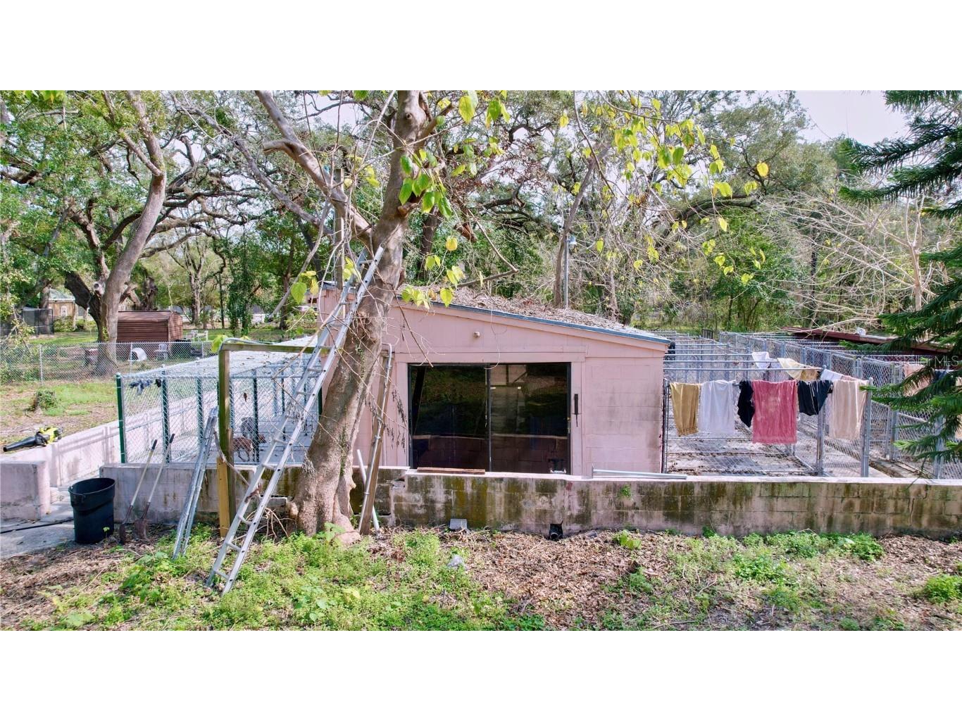 2501 E Diana Street Tampa FL 33610 TB8348858 image5