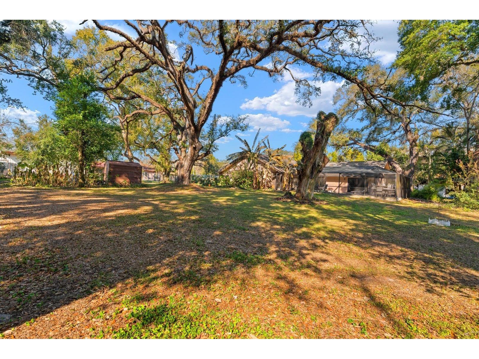 2501 E Diana Street Tampa FL 33610 TB8472893 image28