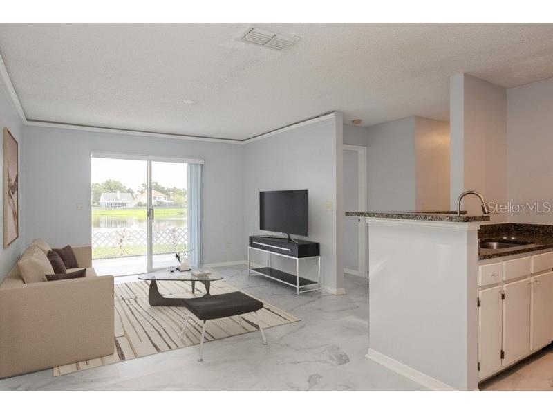 2501 Grassy Point Drive #107 Lake Mary FL 32746 O6391091 image4