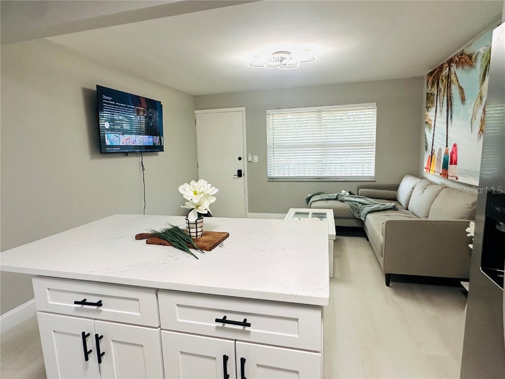 2501 Harn Boulevard #H34 Clearwater FL 33764 TB8437028 image5