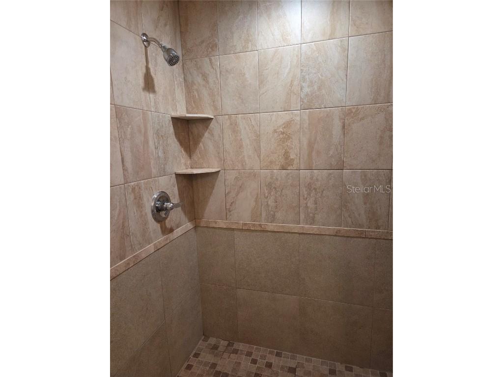 2501 Lenna Avenue Seffner FL 33584 TB8451278 image5