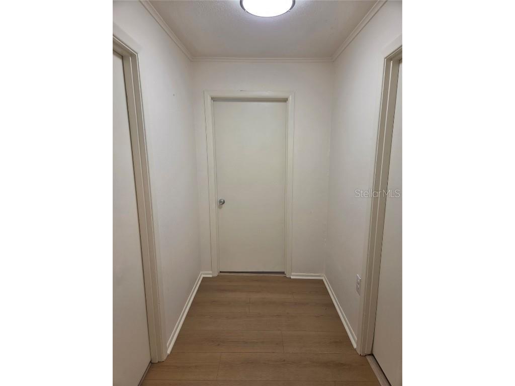 2501 Lenna Avenue Seffner FL 33584 TB8451278 image9