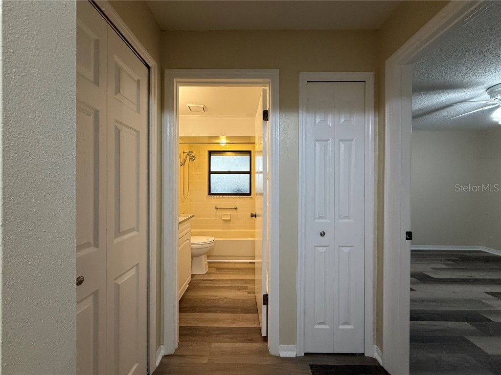 2501 Lonigan Place Sun City Center FL 33573 TB8414225 image6