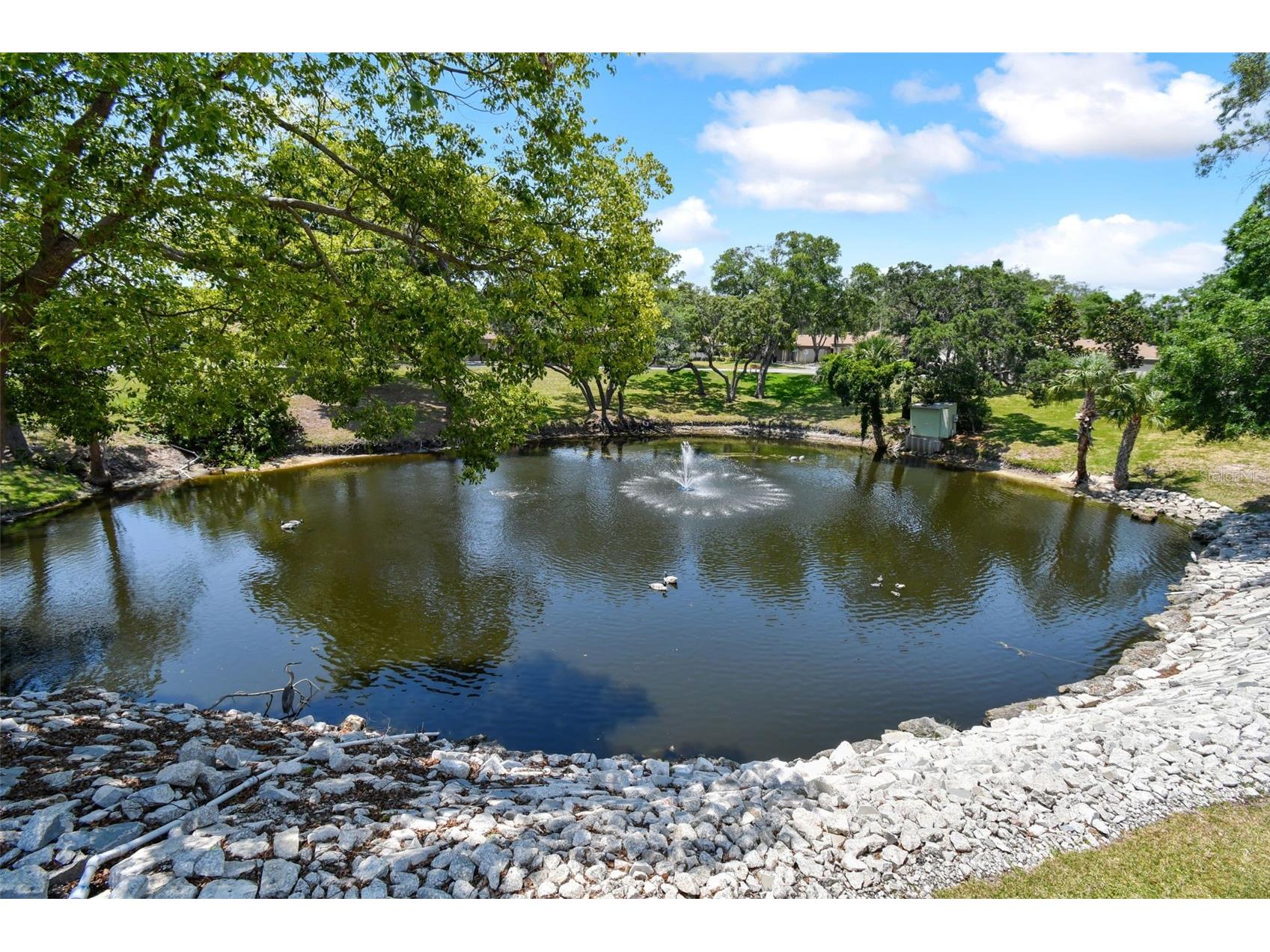 2501 Oak Circle #2501 Tarpon Springs FL 34689 TB8474846 image53