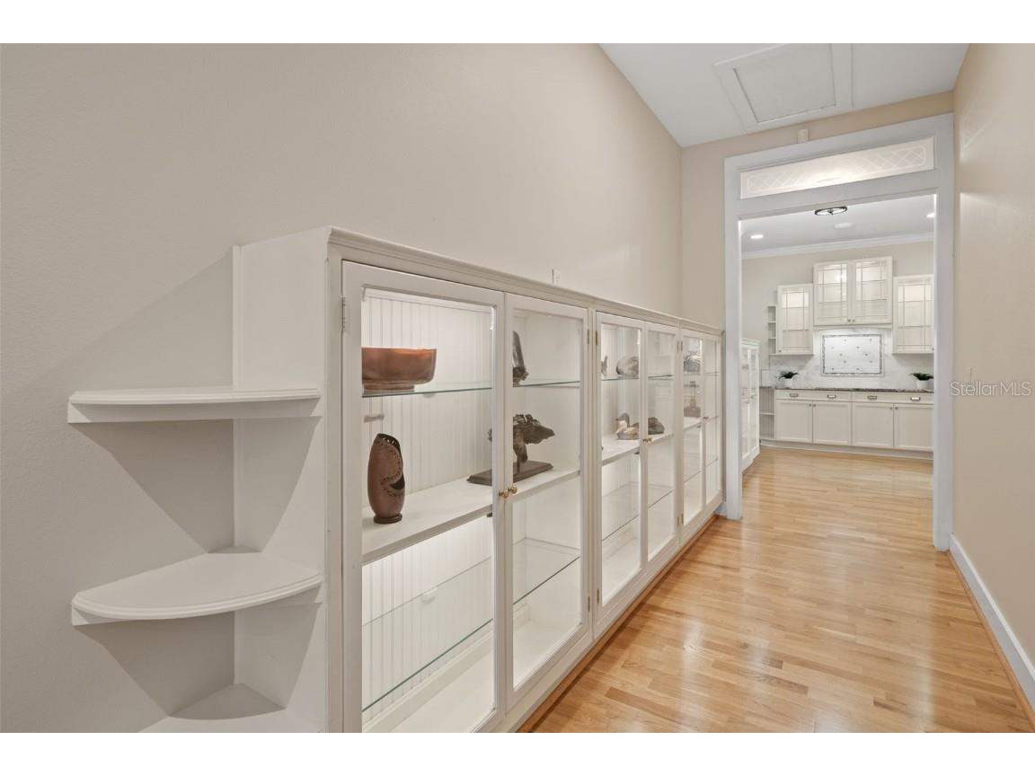 2501 Rustic Oaks Drive Lutz FL 33559 TB8321360 image19