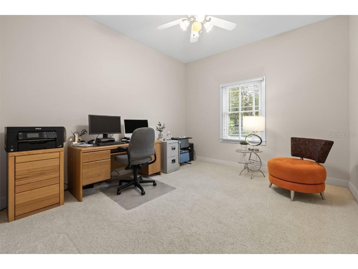 2501 Rustic Oaks Drive Lutz FL 33559 TB8321360 image34