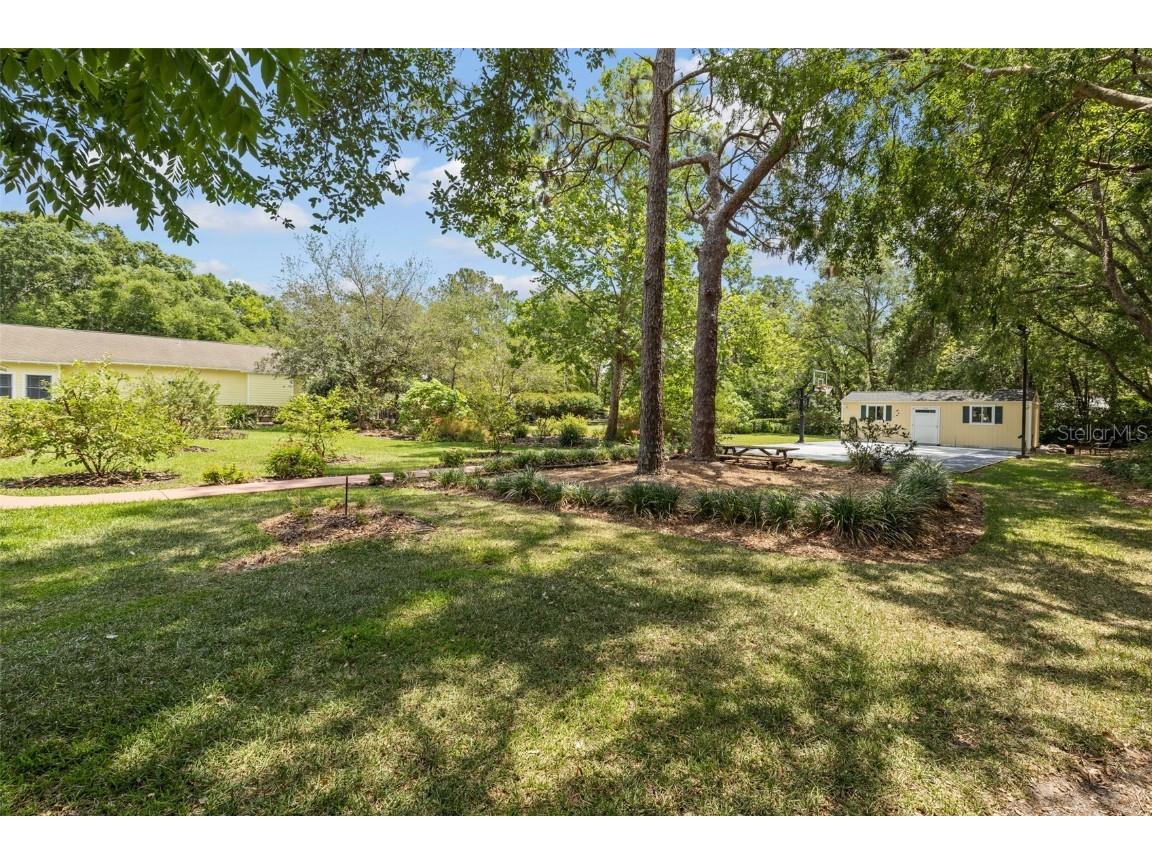 2501 Rustic Oaks Drive Lutz FL 33559 TB8321360 image65