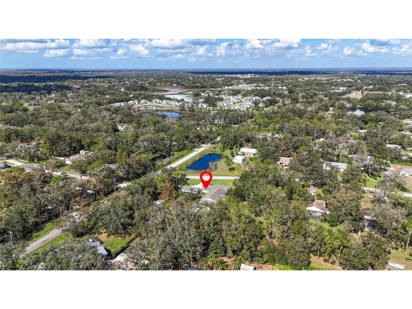 2501 Rustic Oaks Drive Lutz FL 33559 TB8321360 image73