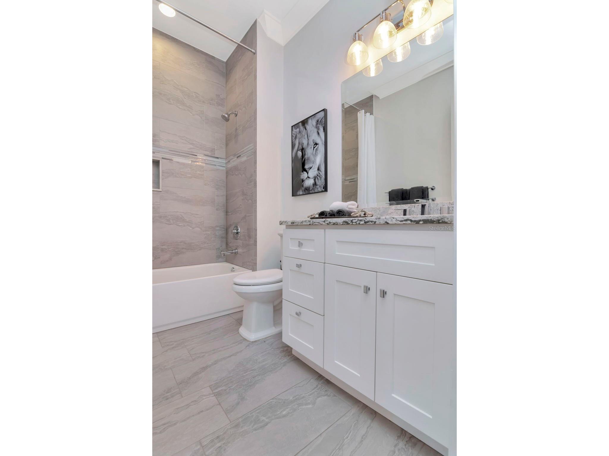 2501 S Dundee Street Tampa FL 33629 TB8474746 image44