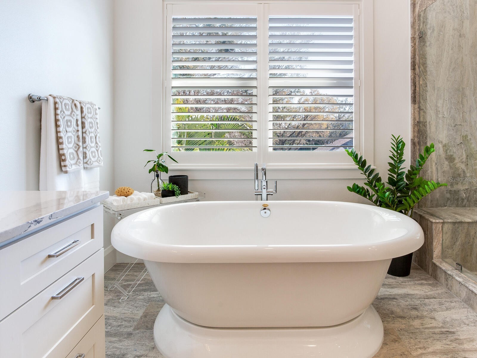 2501 S Dundee Street Tampa FL 33629 TB8474746 image53