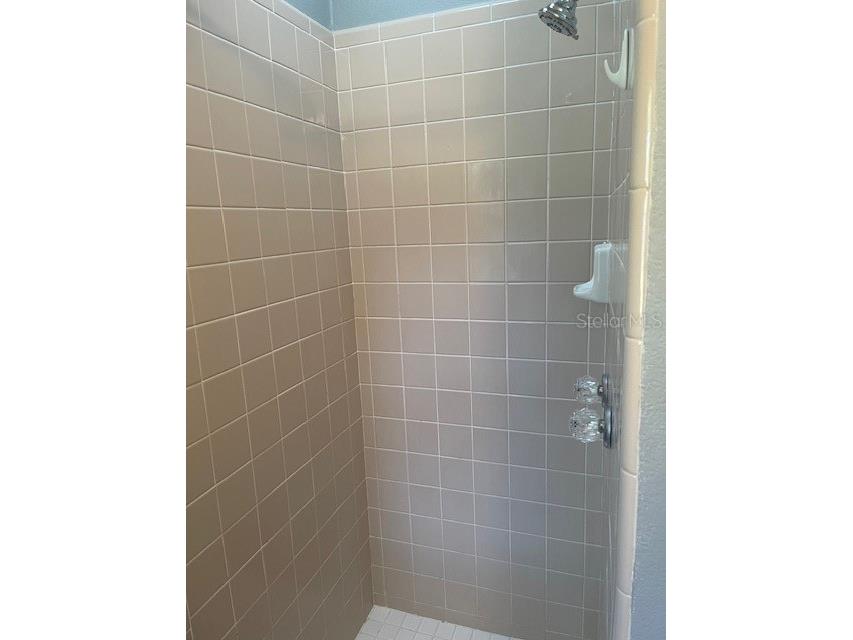 2501 Sheridan Road Mount Dora FL 32757 G5097171 image27