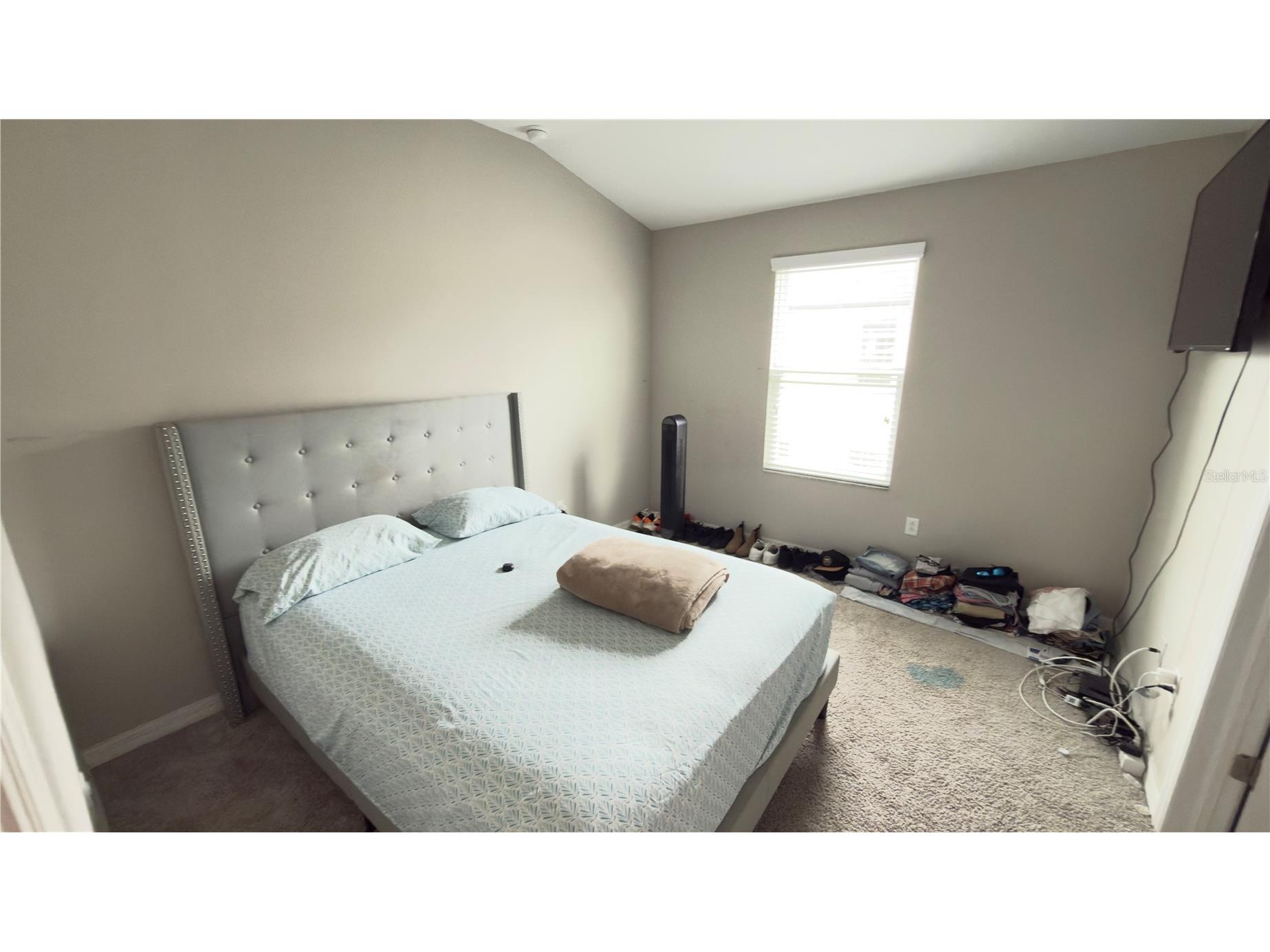 2501 Stapleford Place Wesley Chapel FL 33543 TB8468761 image29