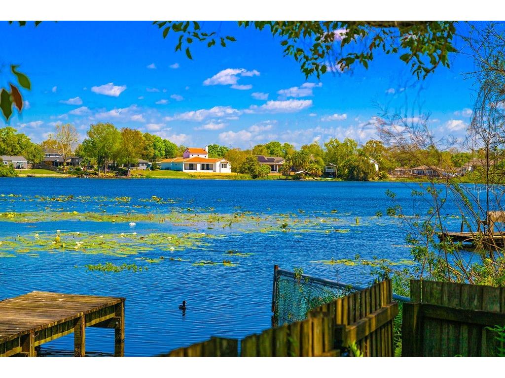 2501 Weber Street Orlando FL 32803 - LAKE DRUID O6300185 image1