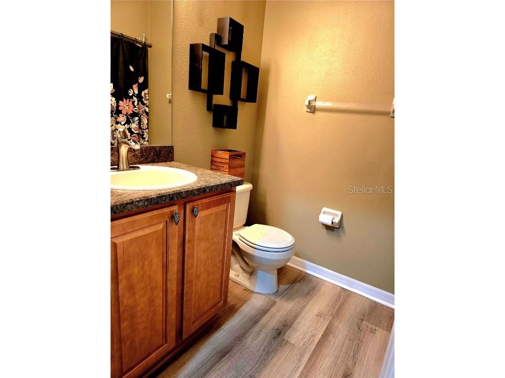 25012 Chipshot Court Sorrento FL 32776 O6290961 image15