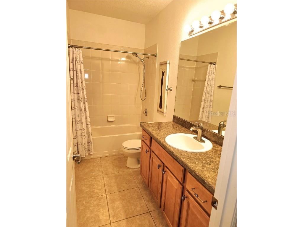 25012 Chipshot Court Sorrento FL 32776 O6290961 image25