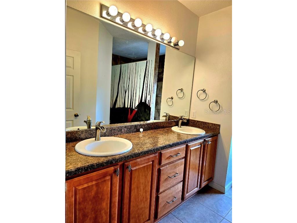 25012 Chipshot Court Sorrento FL 32776 O6290961 image28