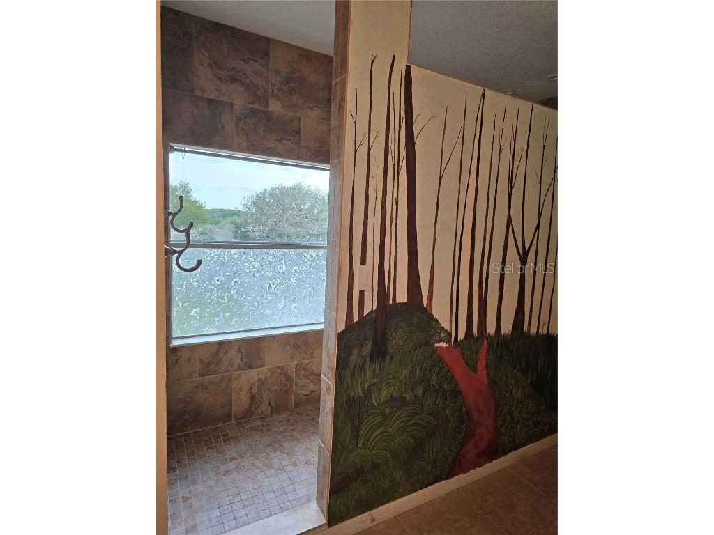 25012 Chipshot Court Sorrento FL 32776 O6290961 image29