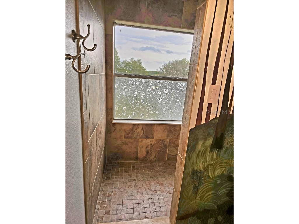 25012 Chipshot Court Sorrento FL 32776 O6290961 image30